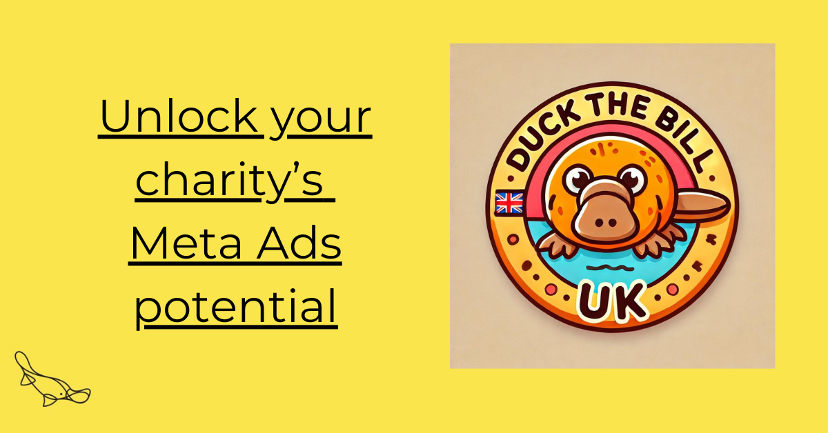 Unlock your charity's Meta Ads potential