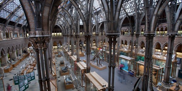 Image of Oxford University Museum of Natural History, Oxford, UK