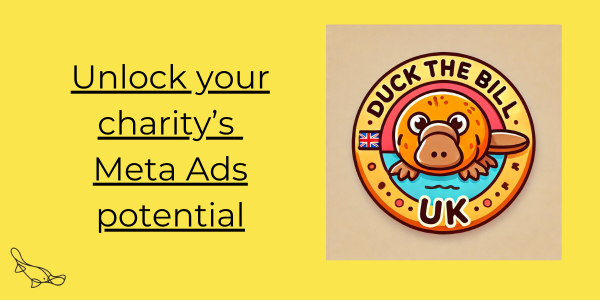 Unlock your charity's Meta Ads potential